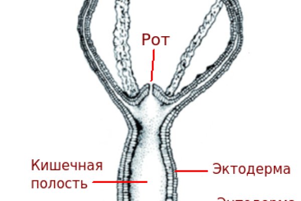 Sprut официальный сайт blacksprute com