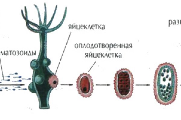 Как зайти на blacksprut blacksprut click