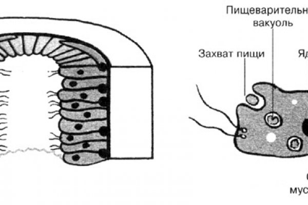 Блекспрут нет